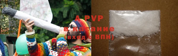 винт Инта