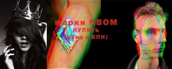 винт Инта