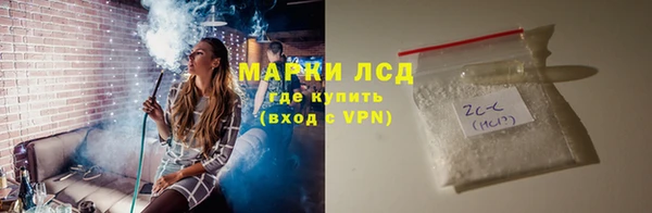 винт Инта