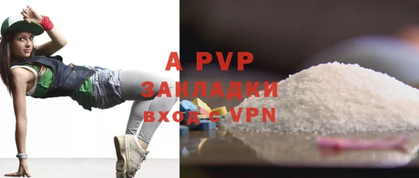 шишки Иннополис