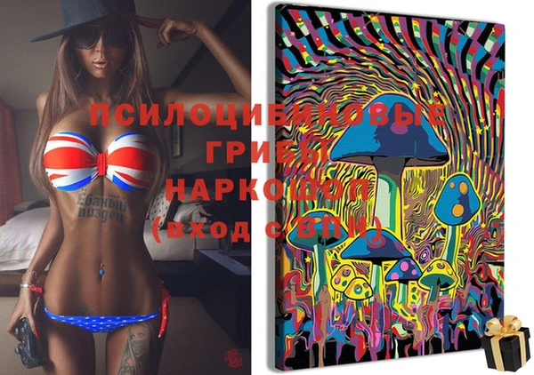 шишки Иннополис