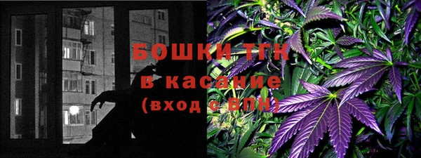шишки Иннополис
