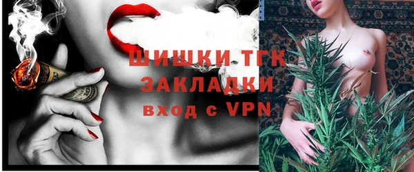 винт Инта