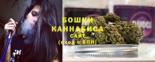 шишки Иннополис